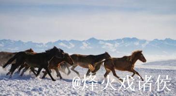 冰雪昭苏迎客来 冰雪昭苏迎客来